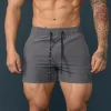 bodybuilding_short_short_12.webp Youngla Shorts<101 Bodybuilding Short Shorts