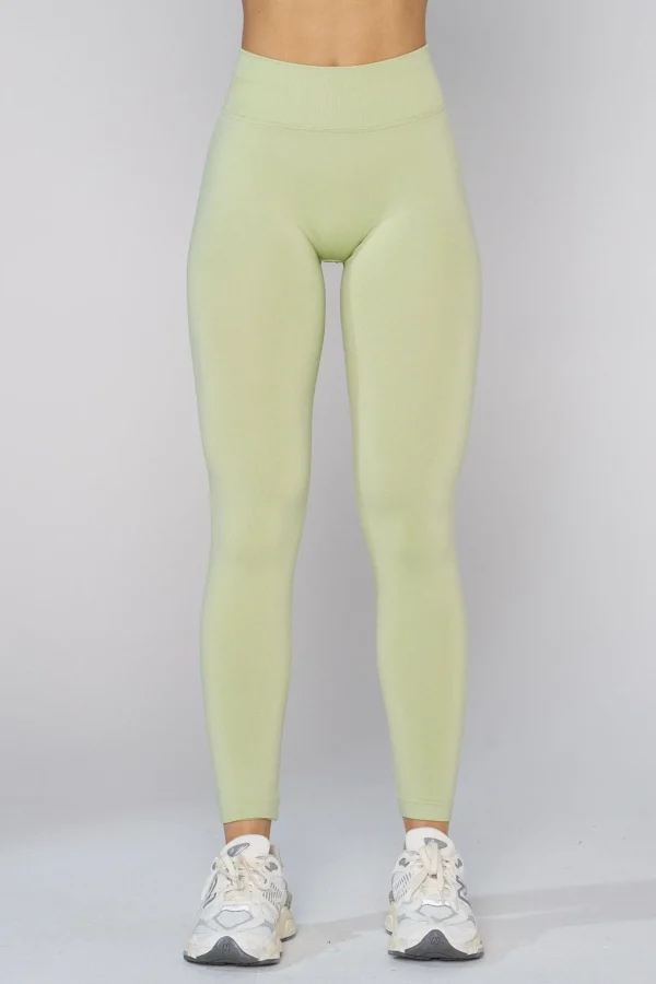 Youngla Leggings<W233-Curve Seamless Legging